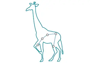 Giraffe Prints: Digital illustration of Camelopardalis constellation