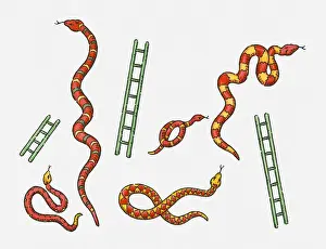 Ladder Prints: Digital illustration of colourful snakes and green ladders