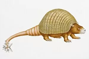 Spiked Gallery: Digital illustration of Doedicurus clavicaudatus, a prehistoric glyptodont with domed carapace