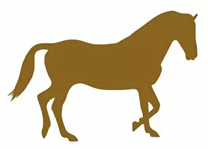 Digital illustration of domestic Horse (Equus ferus caballus)