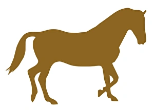 Digital illustration of domestic Horse (Equus ferus caballus) Digital illustration of domestic Horse (Equus ferus caballus)
