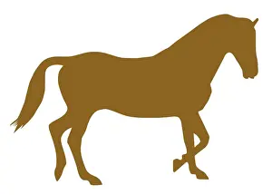 Equus Prints: Digital illustration of domestic Horse (Equus ferus caballus)