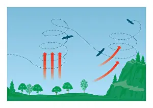 On The Move Prints: Digital illustration of Eagles soaring using columns of warm air known as thermal updraughts formed
