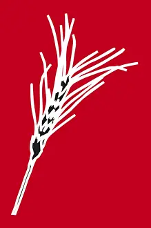 Line Drawing Prints: Digital illustration of ear of wheat