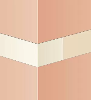 Digital illustration of flush pointing on masonry wall