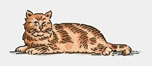 Images Dated 14th July 2009: Digital illustration of ginger cat