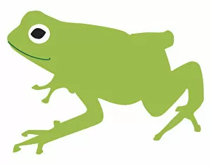 Digital illustration of green frog