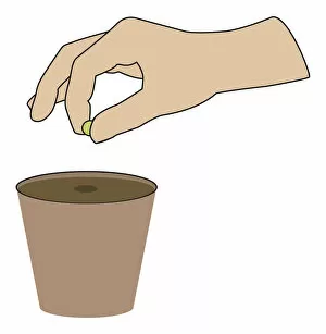 Digital illustration of hand holding pea above plant pot
