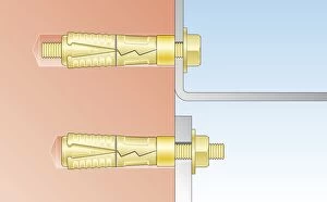 Digital illustration of heavy duty masonry bolt fixings, also known as shield anchors
