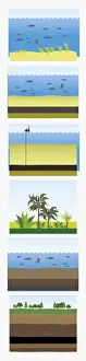 Fossil Fuel Prints: Digital illustration of images depicting creation of fossil fuel
