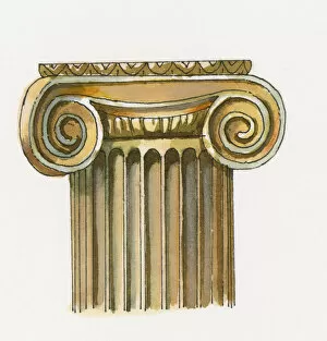 Support Collection: Digital illustration of Ionic order column