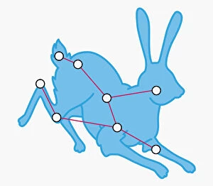 Digital illustration of Lepus constellation representing a hare