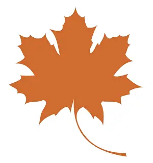 Maple Tree Prints: Digital illustration of maple leaf