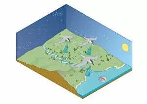 Digital illustration of migration navigation of birds including the sun, stars, coastlines, EarthAi¿oes