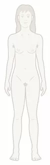 Images Dated 15th May 2017: Digital illustration of naked adolescent teenage girl