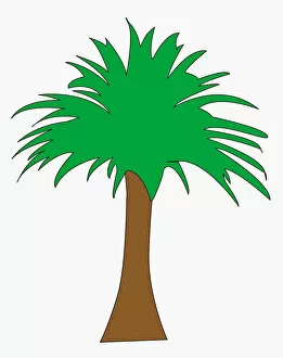 Images Dated 19th October 2010: Digital illustration of palm tree
