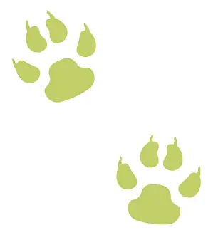 Digital illustration of paw prints