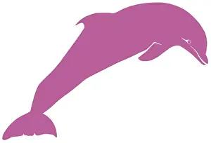 Dolphin Prints: Digital illustration of pink dolphin on white background