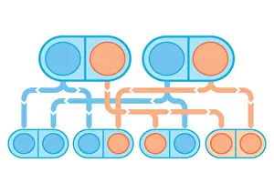 Digital illustration of recessive inheritance where both parents carry the abnormal Albinism gene