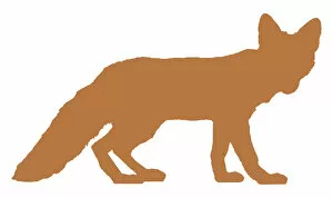 Digital illustration of Red Fox (Vulpes vulpes)