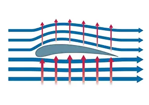 Aerodynamic Prints: Digital illustration representing aerodynamics of birds wing
