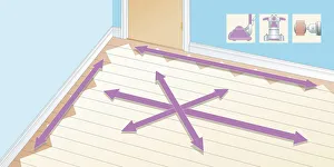 Blue Background Gallery: Digital illustration showing different areas of wooden floor, and insets of sander and attachment