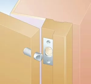 Digital illustration showing hinge bolt and locking plate on doorframe