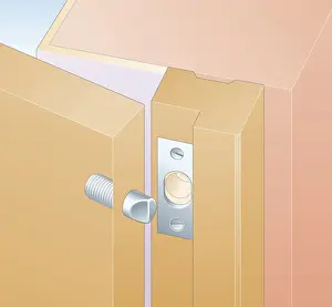 Durability Prints: Digital illustration showing hinge bolt and locking plate on doorframe