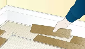 Images Dated 28th January 2009: Digital illustration showing how to lay wooden floor blocks in herringbone pattern