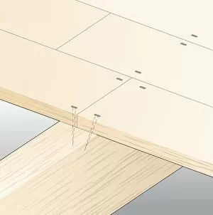 Digital illustration showing timber floorboards nailed to joist