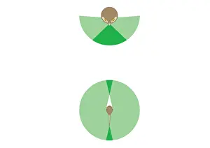Comparison Prints: Digital illustration showing vision span of owl compared to normal bird
