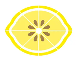 Lemon Fruit Prints: Digital illustration of sliced lemon