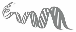Digital illustration of spiral ladder of a sequence of DNA showing combination of genes