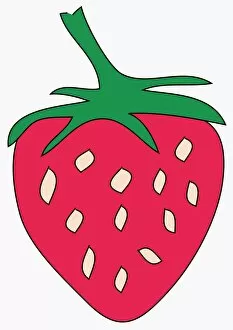 Images Dated 13th May 2010: Digital illustration of strawberry