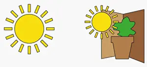 Plant Pot Prints: Digital illustration of sun, and sun shining on plant in pot in corner