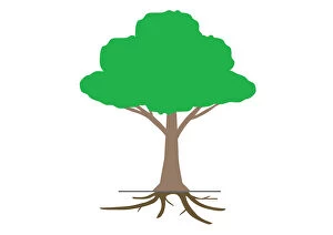 Digital illustration tree showing roots underground