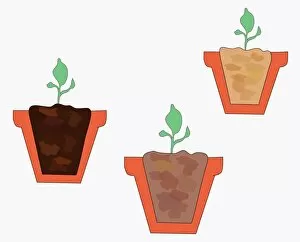 Images Dated 13th May 2010: Digital illustration of three types of potting soil and compost in cross section of plant pots