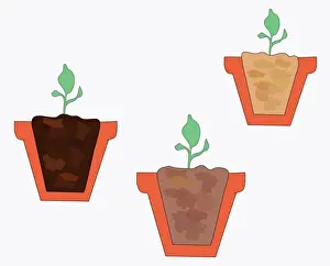 Plant Pot Prints: Digital illustration of three types of potting soil and compost in cross section of plant pots
