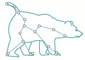 Animal Representation Collection: Digital illustration of Ursa Major (Great Bear) constellation
