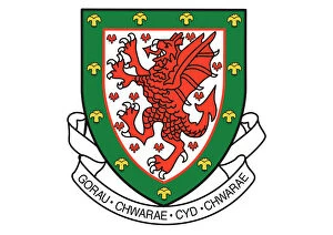 Green Gallery: Digital illustration of Wales national football association crest