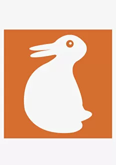 Digital illustration of white duck on orange background