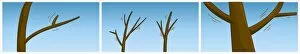 Images Dated 11th May 2010: Digital illustration of wind moving branches of bare trees
