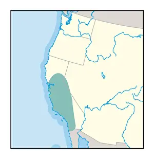 Us State Border Prints: Digital illustration of wine growing region in California