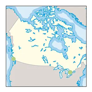 Digital illustration of wine growing regions in Canada