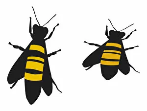 Images Dated 17th April 2009: Digital illustration of yellow and black striped bees