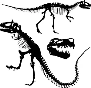 Digital Vision Vectors, 165792184