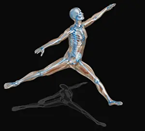 Human Skeleton Prints: Digitally generated image of human representation dancing ballet