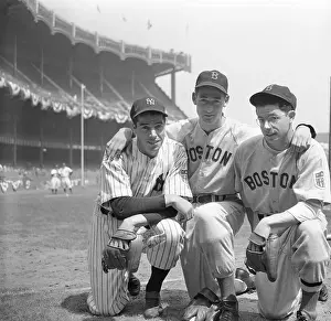 Ted Williams Prints: DiMaggio Brothers Posing with Ted Williams in Baseball Uniforms
