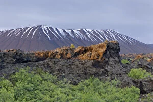 Dimmuborgir lava formations, Hverfjall ash crater, Skutustaoir, Northeastern Region, Iceland