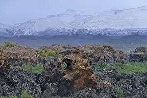 Volcano Collection: Dimmuborgir lava formations, Skutustaoir, Northeastern Region, Iceland